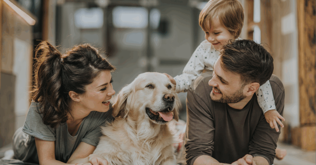 Mortgage 101: What You Need to Know Before Buying a Home 